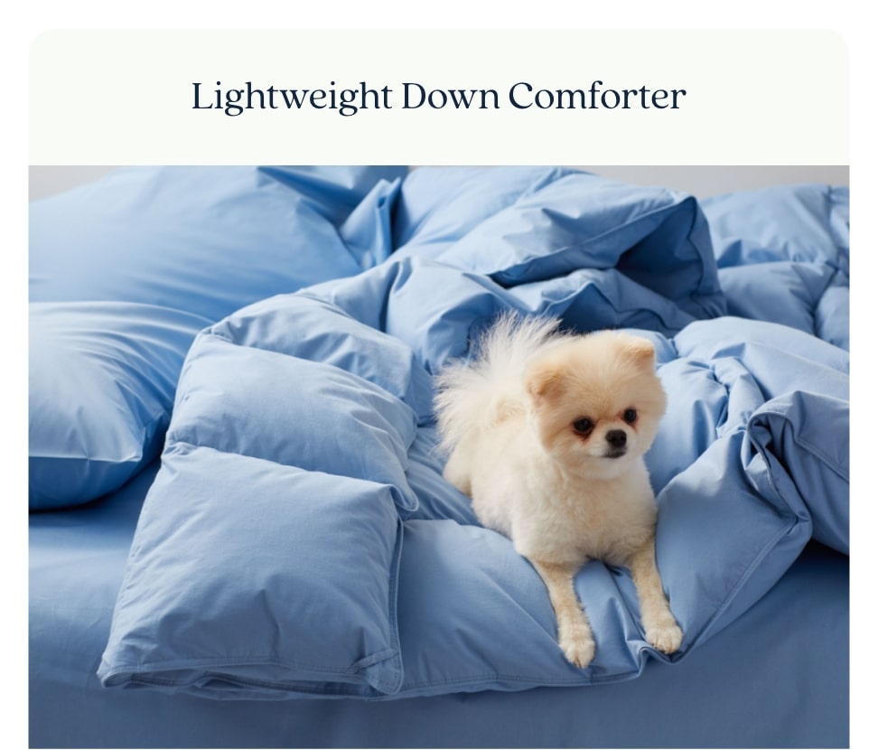 Shop Light Weight Down Comforter