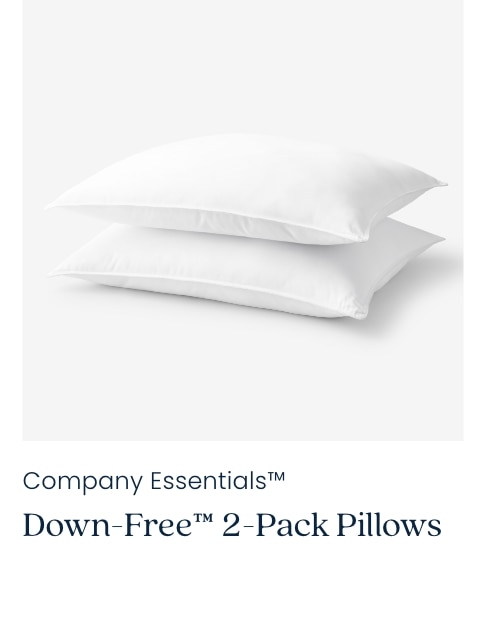 Shop Down-Free 2-Pack Pillows - Standard