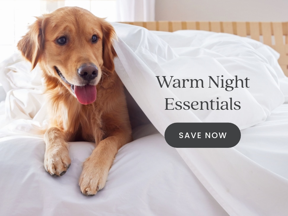 Shop Warm Night Essentials